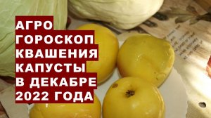 Агрогороскоп квашения капусты на декабрь 2022 года  Агрогороскоп квашення капусти в грудні 2022 року