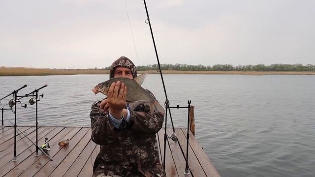 лещ клюет на бойлы, лето, рыбалка смотреть онлайн