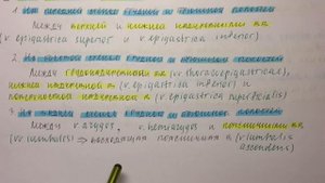 Билет 079. ПОРТО-КАВАЛЬНЫЕ И КАВА-КАВАЛЬНЫЕ АНАСТОМОЗЫ, ИХ ФУНКЦИОНАЛЬНОЕ ЗНАЧЕНИЕ.