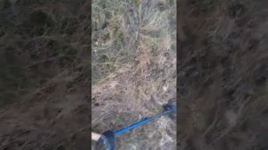 Фищер ф 75 тест на глубину.