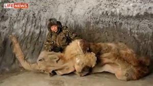 Мамонтенок Юка
