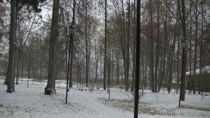 vatravel.ru  Усадьба "Дача Башенина" (Сарапул, Удмуртия)