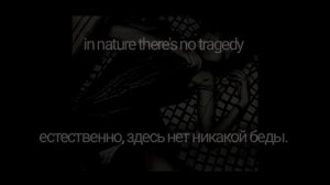 crystal castles - kerosene //лирика и перевод на русский