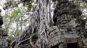 Храмовый комплекс Ангкор Ват, Храм Та Пром, Камбоджа.