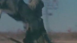 Шелохнулась ветка  - Ахлям Газалиев