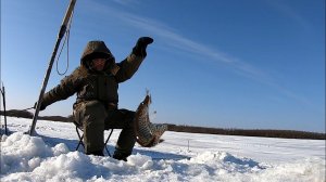 Говорит: Здесь рыбы нет! Рыбалка.