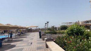 Египет, Хургада, Albatros white Beach | Альбатрос вайт бич | обзор комнаты, пляжа и отеля