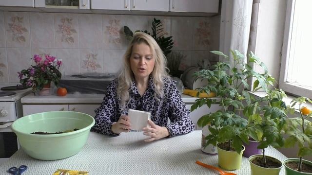 Как вырастить цветы для альпинария