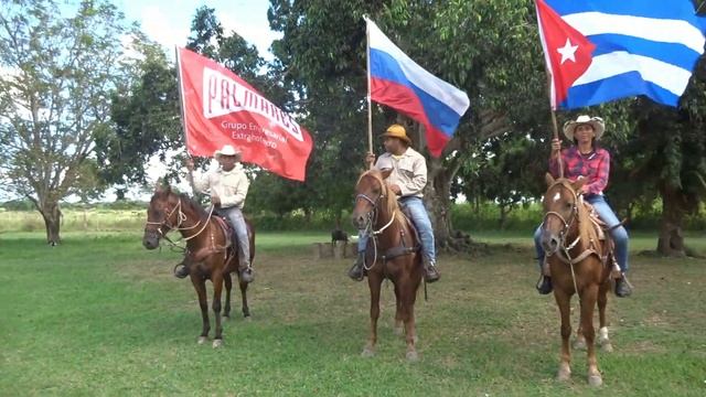 Куба Дискавери Крокодилы Ранчо смотреть онлайн