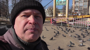 Я нахожусь в городе Орле. Птицы голуби. Подвесной мост, город Орёл