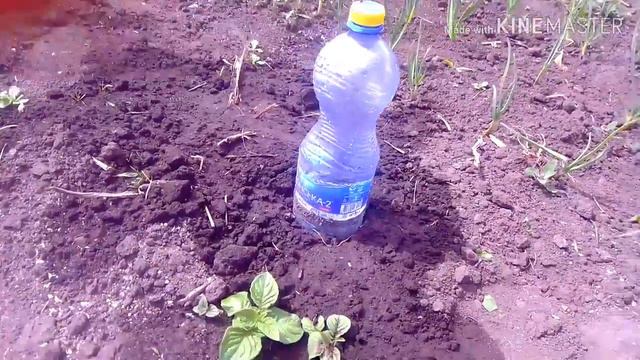 Самодельный крапельний полив все просто. смотреть онлайн