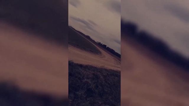 Reno Megane (Rally Edition) смотреть онлайн