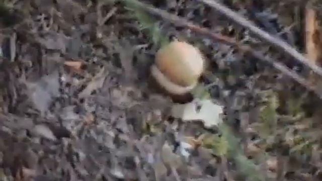 1997-45. Питер-Онего-Питер www.katernik.ru