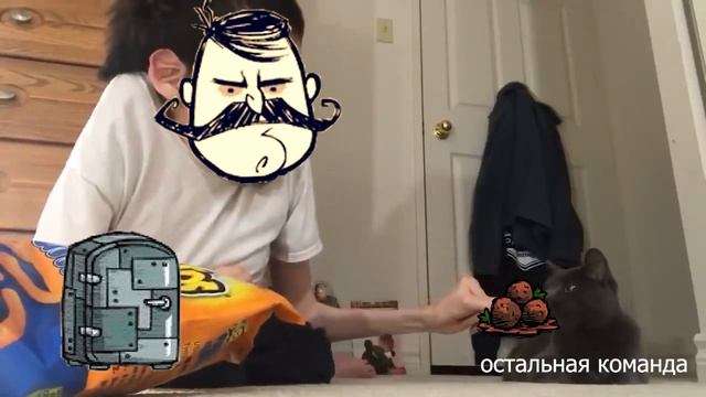 Взаимоотношения Вольфганга и его команды смотреть онлайн