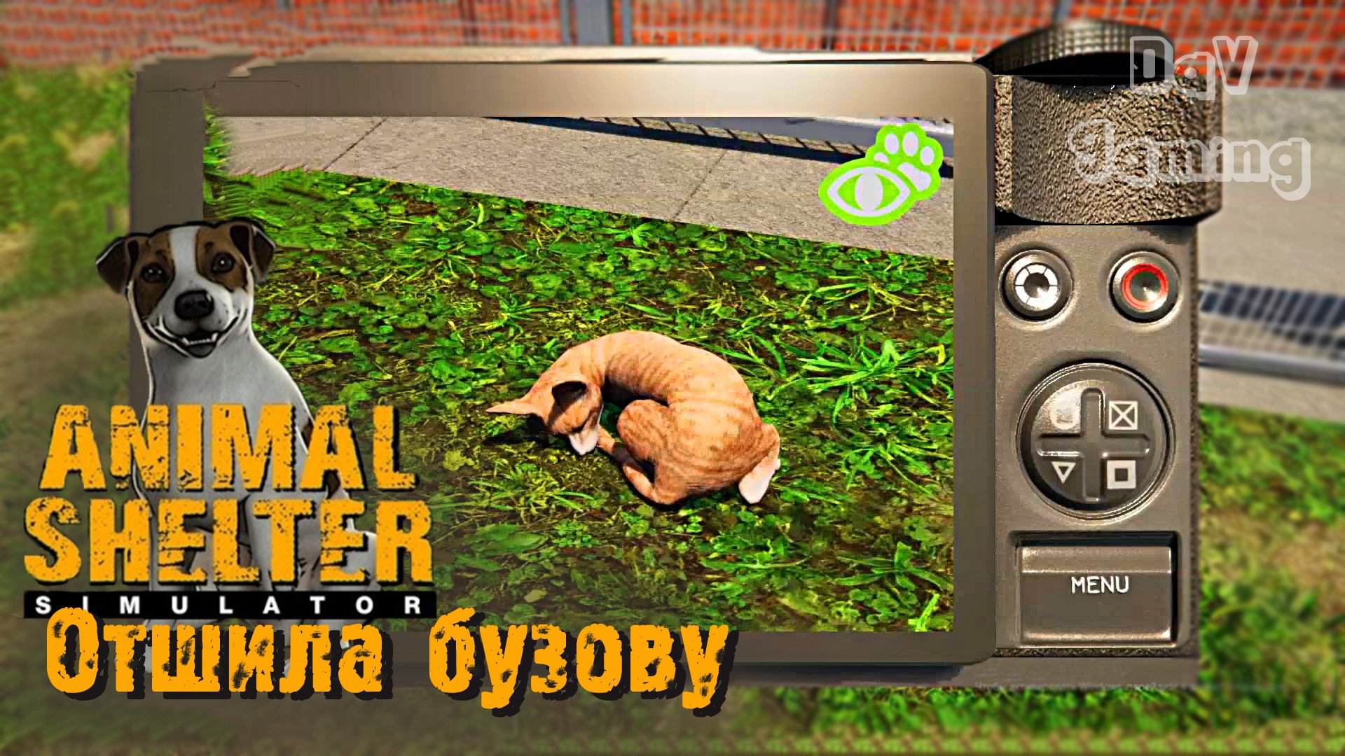 Отшила БУЗОВУ / Animal shelter #2