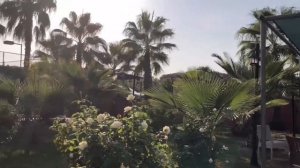 Клаб Сиде Кост Полный Обзор Отеля/ Club Side Coast / отели 5 звёзд Турция
