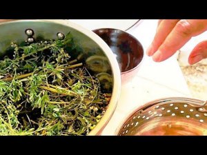 Как сделать 100%  натуральный ГИДРОЛАТ молодости и чистоты кожи из ПОЛЫНИ в домашних условиях