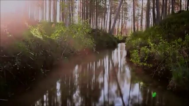 Знамения Второго Пришествия Иисуса Христа /Oт Луки, 21 смотреть онлайн