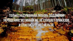 Не в бровь, а в ГЛАЗ! Невероятно Мудрые цитаты и высказывания Александра Дюма.