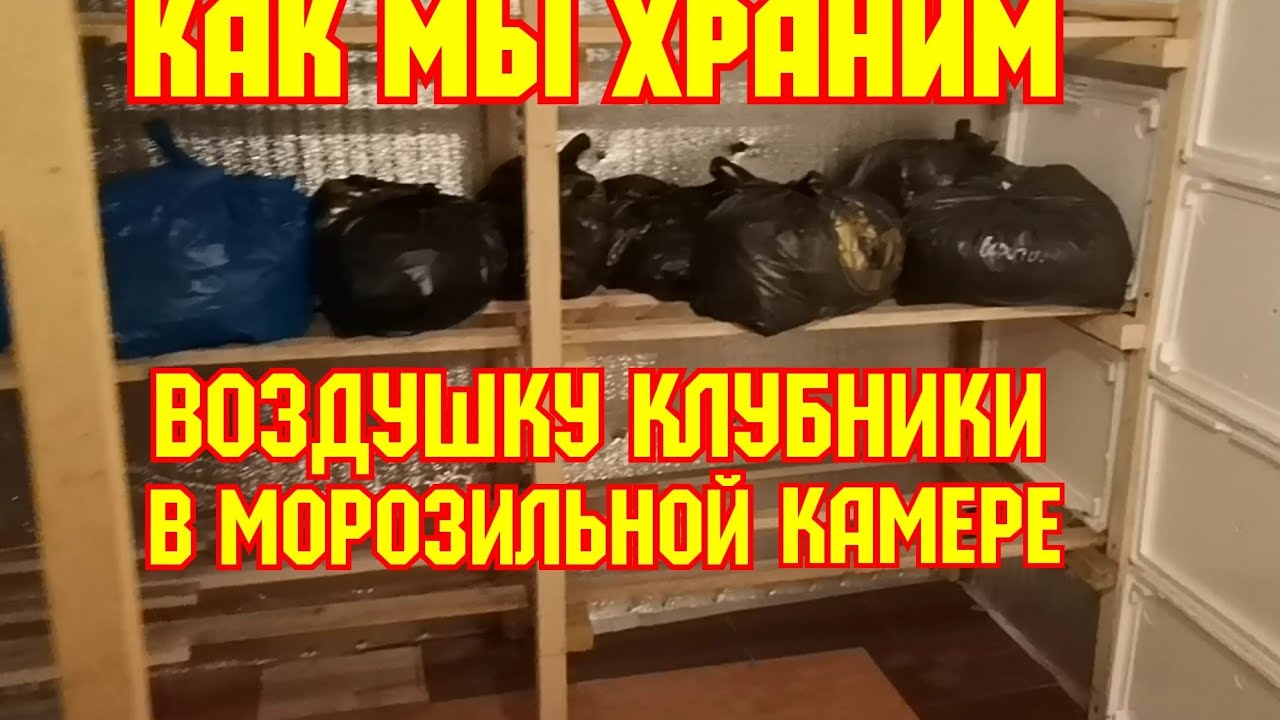 Как мы храним ВОЗДУШКУ клубники, в МОРОЗИЛЬНОЙ камере! смотреть онлайн