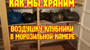 Как мы храним ВОЗДУШКУ клубники, в МОРОЗИЛЬНОЙ камере!