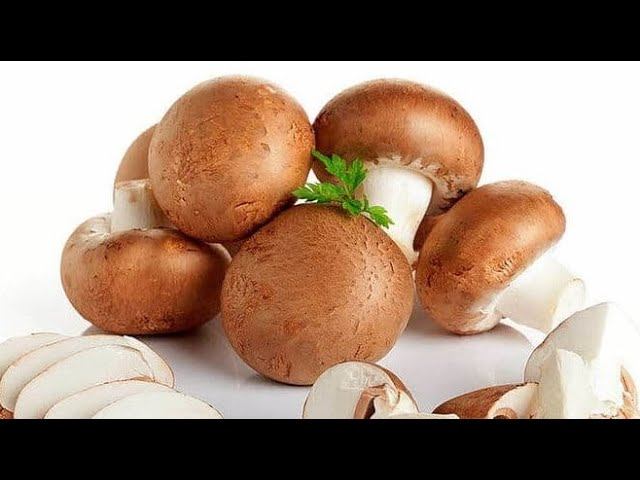 ПРОСТАЯ, Быстрая и Очень Вкусная ЗАКУСКА из Грибов. Шампиньоны с сыром в духовке смотреть онлайн
