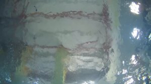 С 5 ДО 24 ПОДТЯГИВАНИЙ НА ТУРНИКЕ ЗА 30 ДНЕЙ? // ТУРНИК // ПОДТЯГИВАНИЯ С НУЛЯ