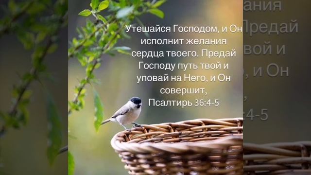 Праздник воскресенья светлый день весенний МСЦ ЕХБ МХО смотреть онлайн