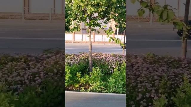 #юлия_казань. Прогулки по Казани. Часть 4. Набережная озера Кабан. #вказани #казань #2021