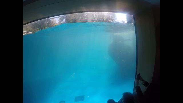 Паттайя Кхао Кхео смотреть онлайн