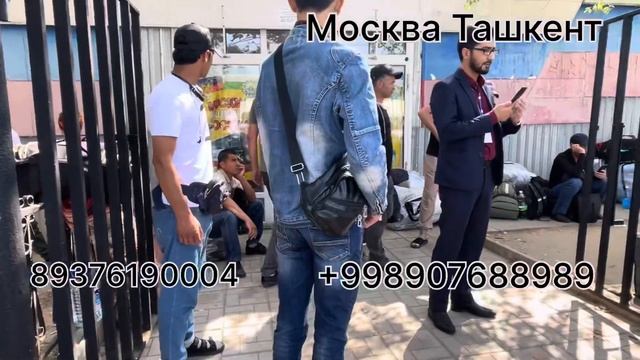 Прямой рейс Москва Ташкент автобус прямая рейс Москва Узбекистан автобус #москва #ташкент #автобус