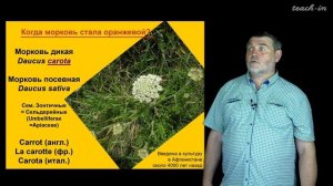 Чуб В. В. - Молекулы в пищевых цепях: от растений до человека - 20. Каротиноиды