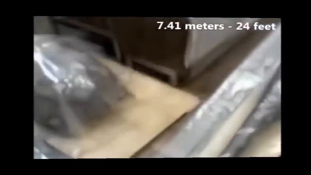 Biggest Giant Snake Anaconda Python Attack and Eats Animals смотреть онлайн