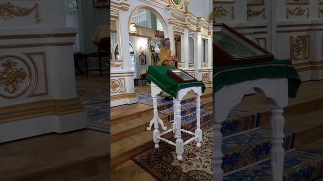 Проповедь протоиерея Владимира в храме святителя Спиридона Тримифунтского в Ораниенбауме от 23.06.1 смотреть онлайн