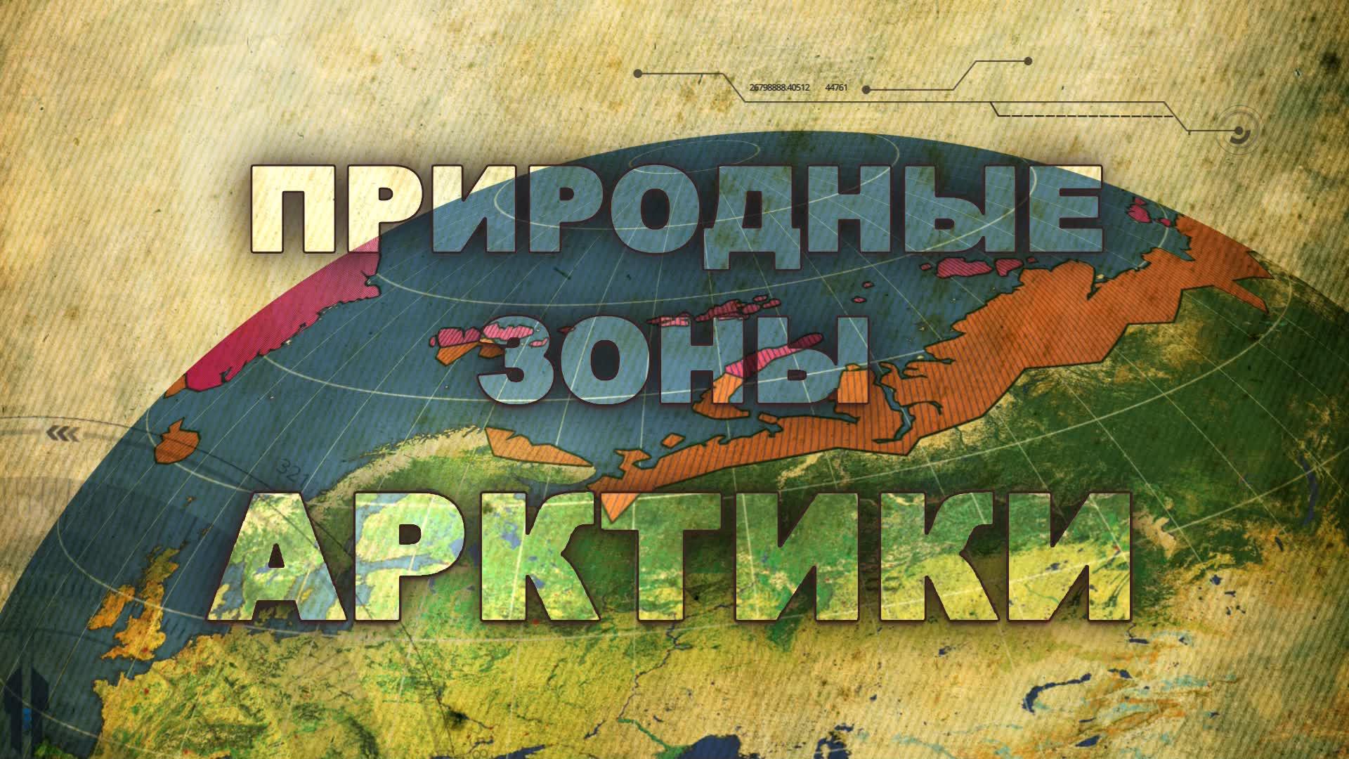 Природные зоны Арктики