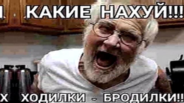 ХОДИЛКИ БРОДИЛКИ