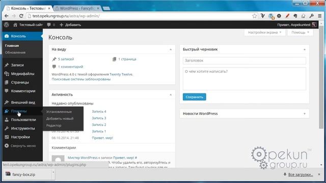 Что такое Плагины WordPress и как их устанавливать + Fancy box смотреть онлайн