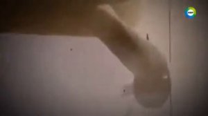 Самые страшные монстры водятся в Черном море  Крым наводнили морские монстры 1