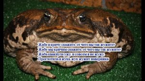 Песня про ежика. Учим букву Ж
