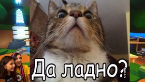 ТРАЧУ 30 000 в АДОПТ МИ как ВЫБИТЬ ЛЕГУ Секрет додо fossil egg Легендарные питомцы Adopt Me Roblox