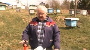 АСКОСФЕРОЗ(ИЗВЕСТКОВЫЙ РАСПЛОД) ПЧЁЛ.ПРИЧИНЫ И СПОСОБЫ ЛЕЧЕНИЯ.