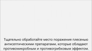 Как избавиться от плесени на стенах