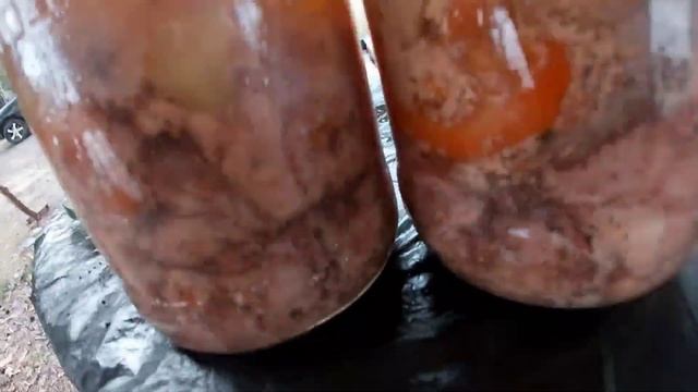 РЫБОЛОВНЫЕ ПРИКЛЮЧЕНИЯ ПО КАРЕЛИИ . УРОСОЗЕРО! смотреть онлайн