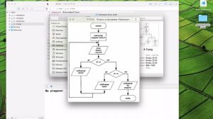 Оператор ветвления if else / Основы iOS программирования в Xcode, язык Swift