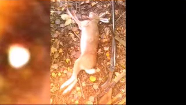 Фото с Охоты. смотреть онлайн