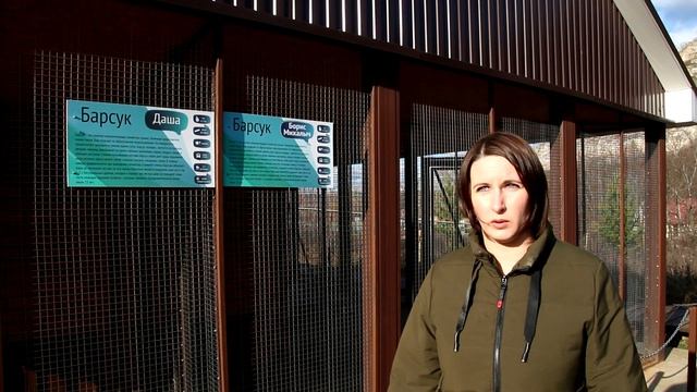 Городок барсуков | Жигулёвский природный биосферный заповедник им Спрыгина смотреть онлайн