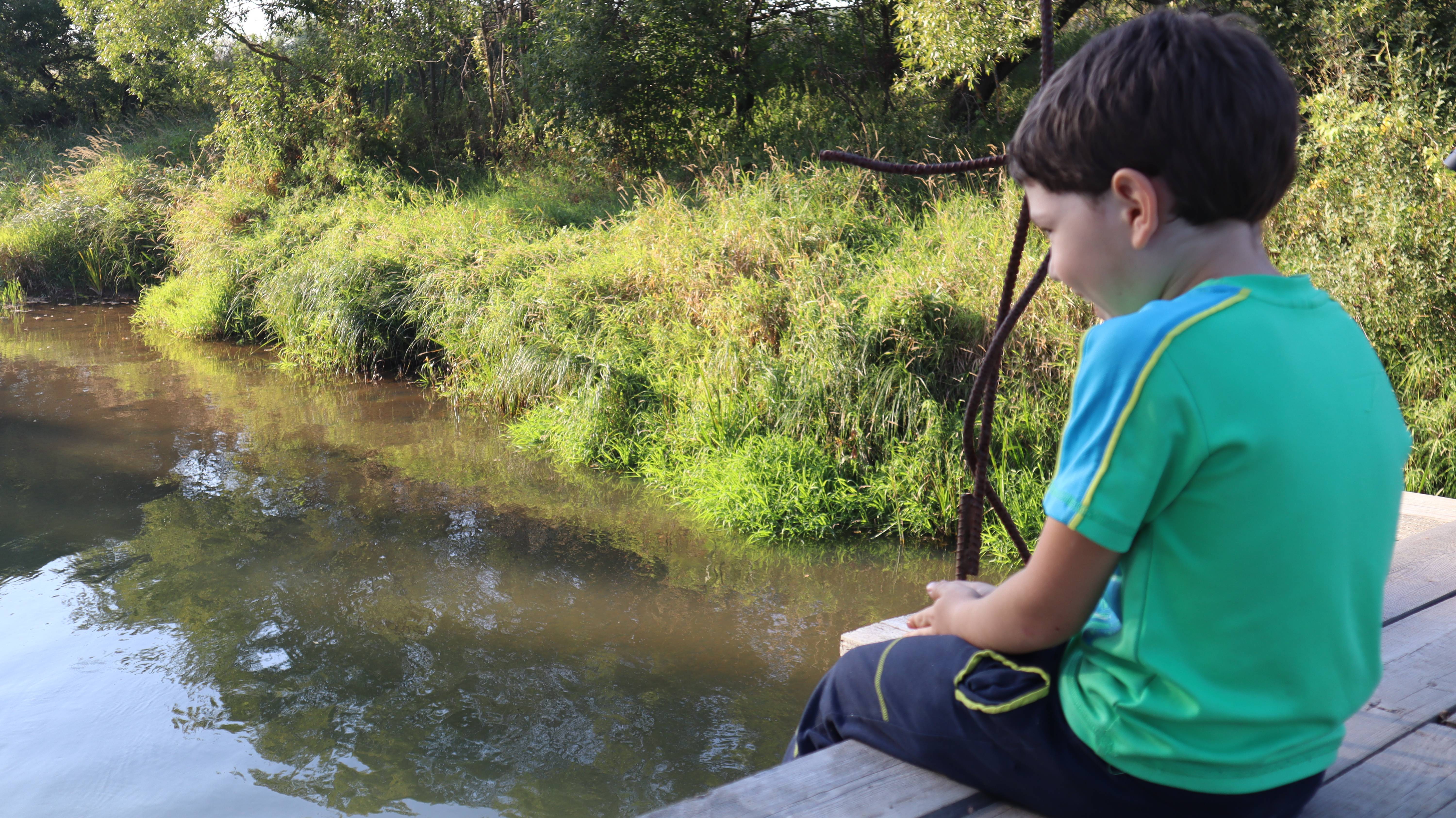 Река Киржач 31.08.2024 смотреть онлайн