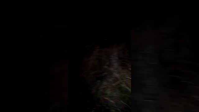 бегемота из болота .1 час работы смотреть онлайн