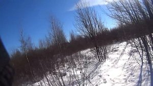 Охота с гончими на пушного зверя. Закрытие сезона охоты 2018-2019. 9-я лиса сезона