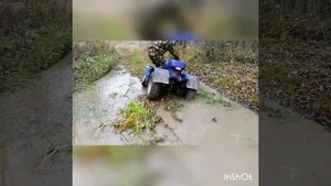 Квадроцикл Dingo T150 внедорожие 35RUS